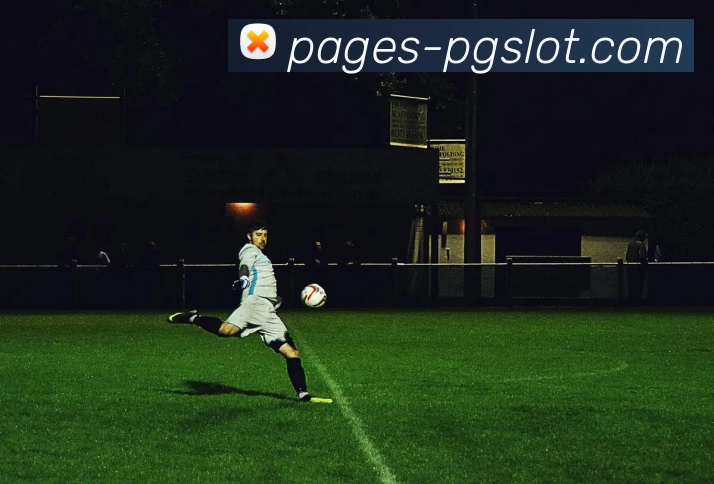 PG电子官网平台生态图